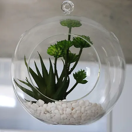 Santorini Dreams Apartamento *