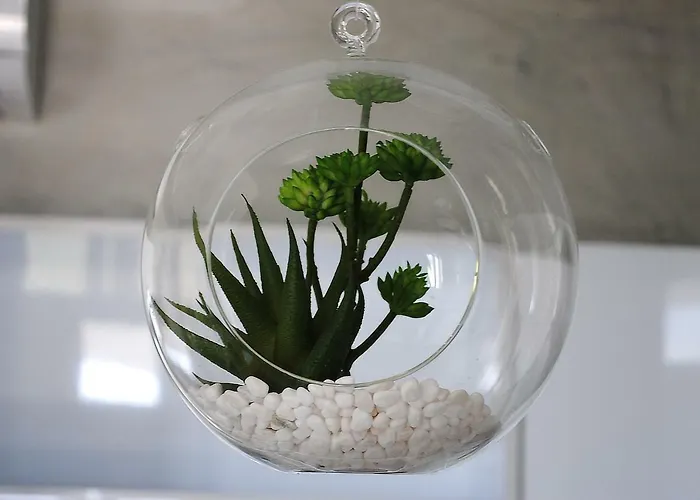 Santorini Dreams Daire *