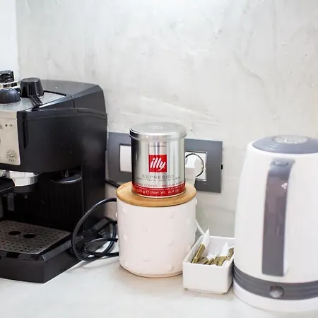 Santorini Dreams Lejlighed