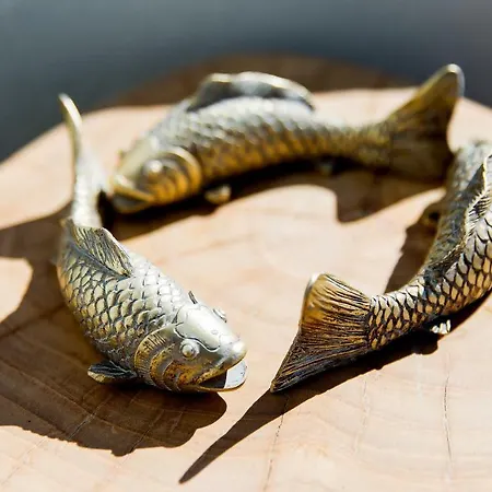 Santorini Dreams Lejlighed Pýrgos